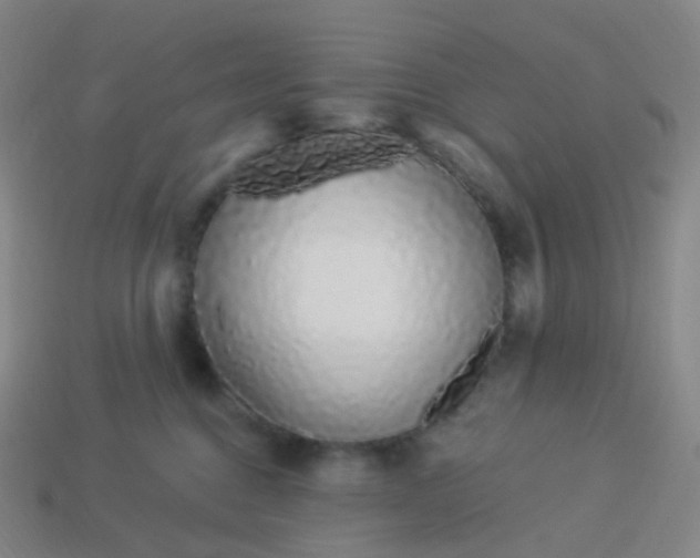 X0000114070376200910191527