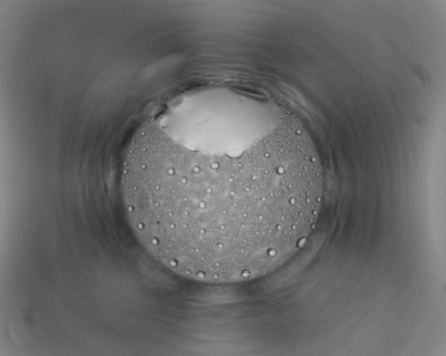 X0000114070377200910191527