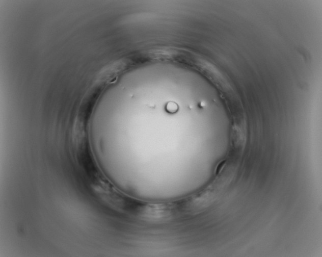 X0000114070381200910191527