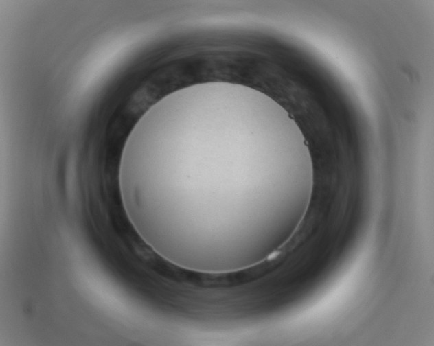 X0000114070382200910191527