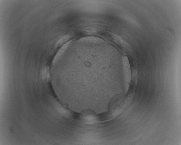 X0000114070383200910191527