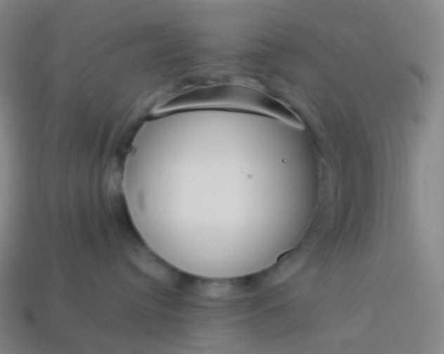 X0000114070384200910191527