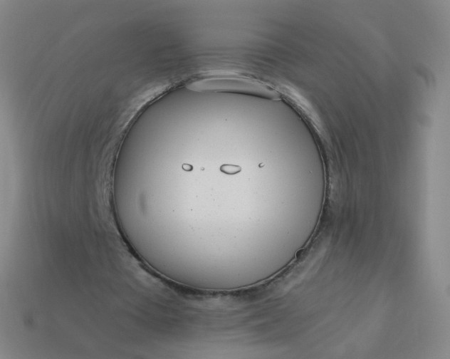 X0000114070385200910191526