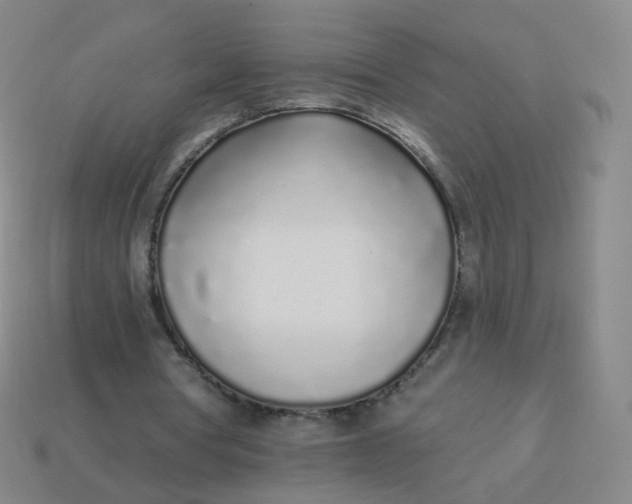 X0000114070386200910191526