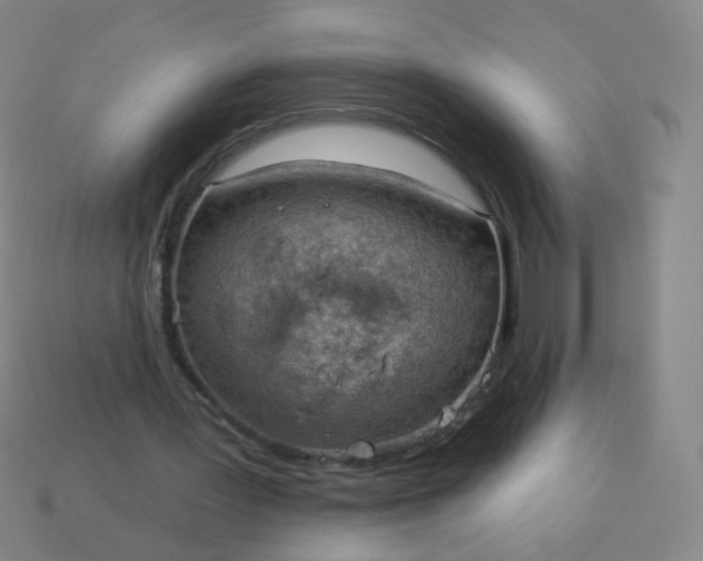 X0000114070387200910191526