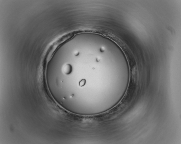 X0000114070388200910191526