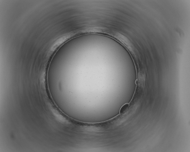 X0000114070389200910191526