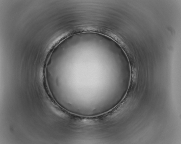 X0000114070390200910191526