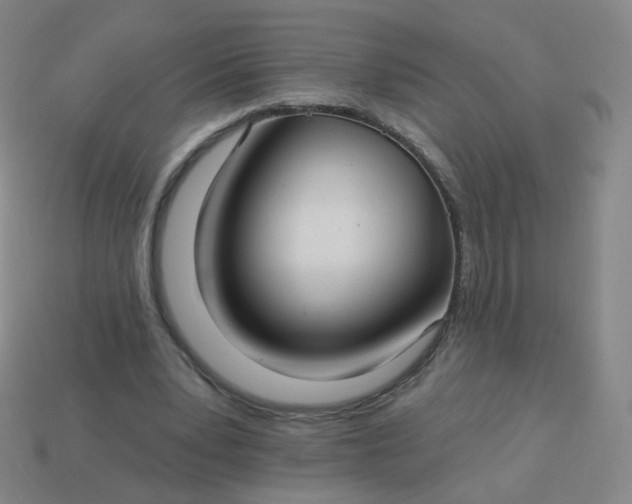 X0000114070391200910191526