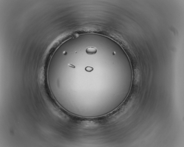 X0000114070392200910191526