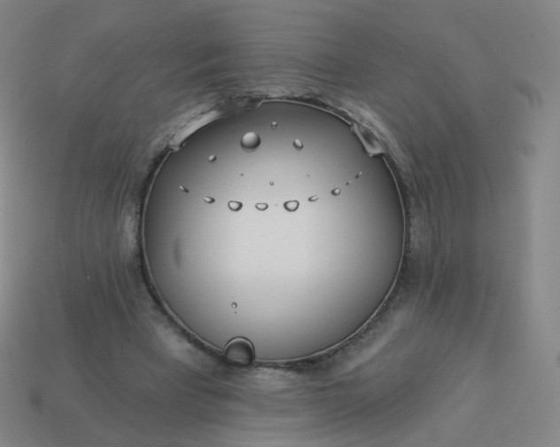 X0000114070393200910191526