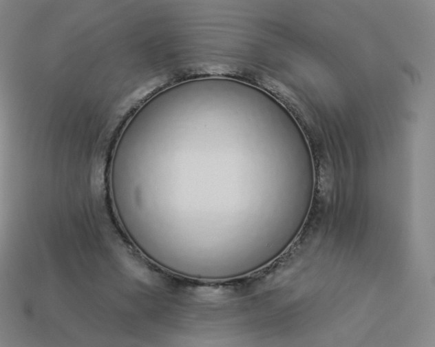 X0000114070394200910191526