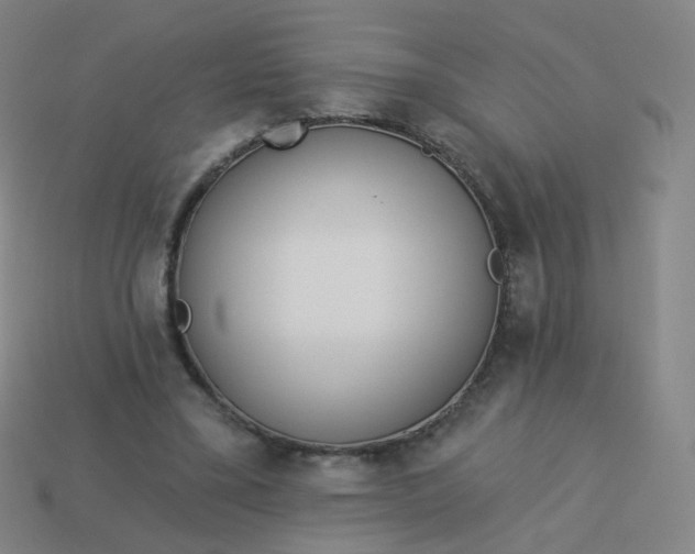 X0000114070395200910191526