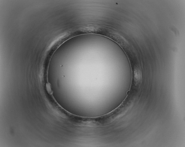 X0000114070396200910191526