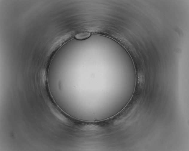 X0000114070397200910191526