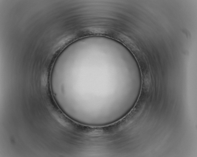 X0000114070398200910191526