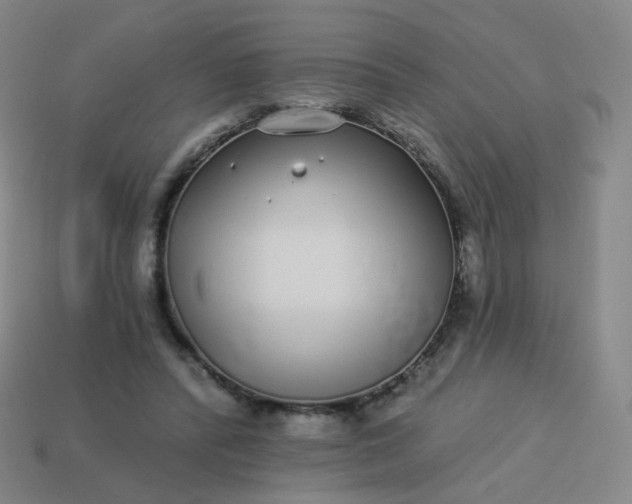 X0000114070400200910191526