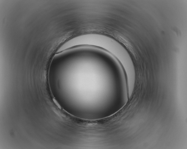 X0000114070401200910191526