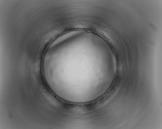 X0000114070402200910191526