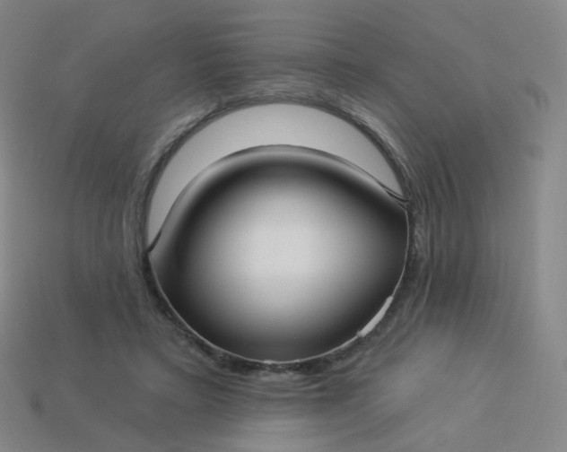 X0000114070403200910191526