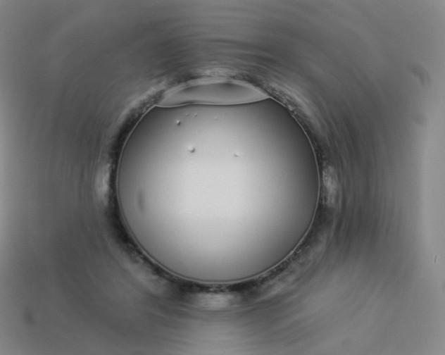 X0000114070404200910191526