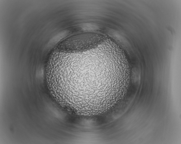 X0000114070405200910191526