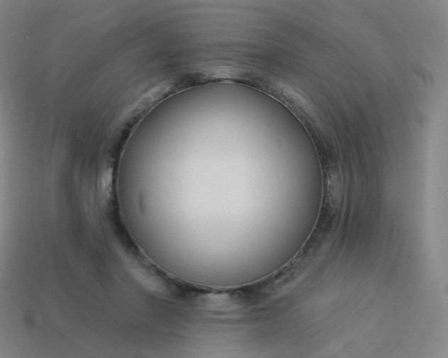 X0000114070406200910191526