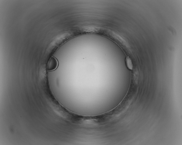 X0000114070407200910191526