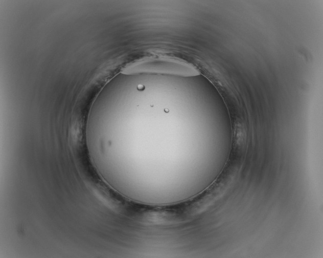 X0000114070408200910191526