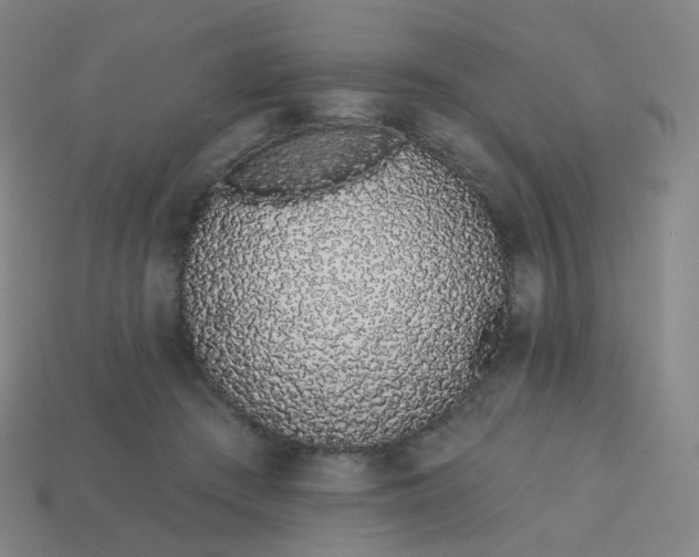 X0000114070409200910191526