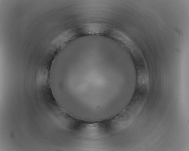 X0000114070411200910191526