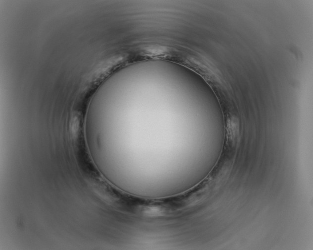 X0000114070412200910191526