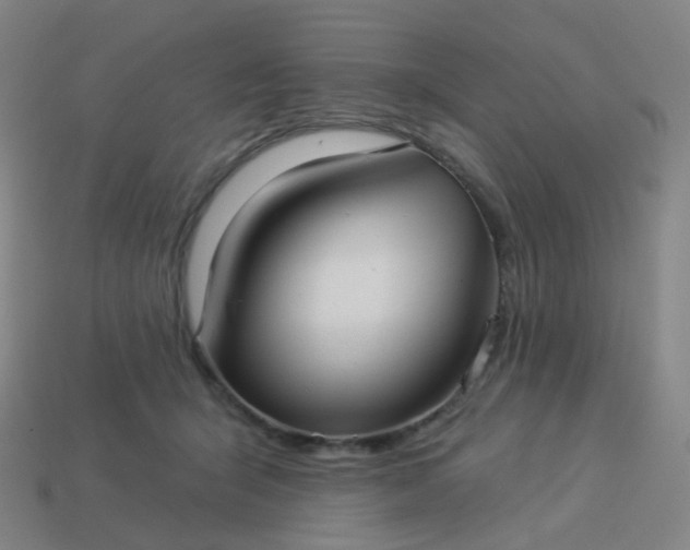 X0000114070415200910191526