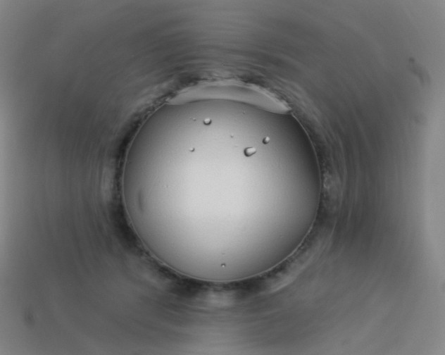 X0000114070416200910191526