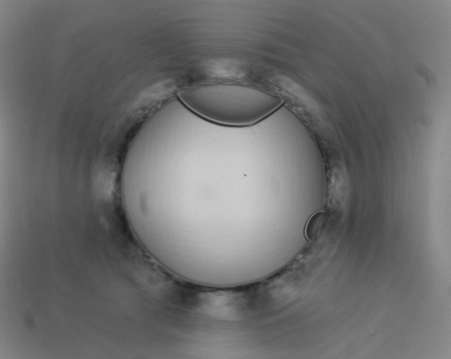 X0000114070417200910191526