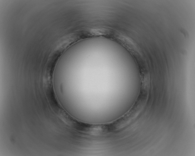 X0000114070418200910191526