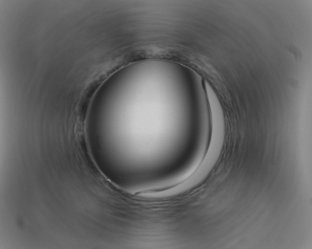 X0000114070419200910191526