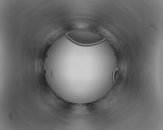 X0000114070421200910191526