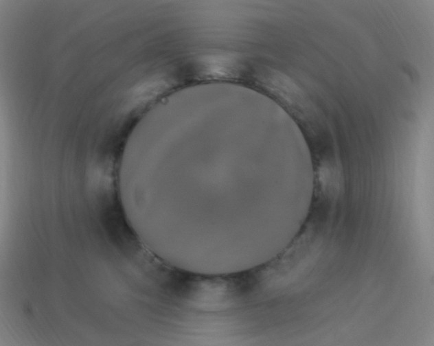 X0000114070423200910191526