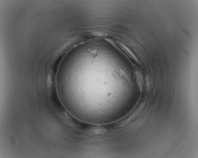 X0000114070424200910191526