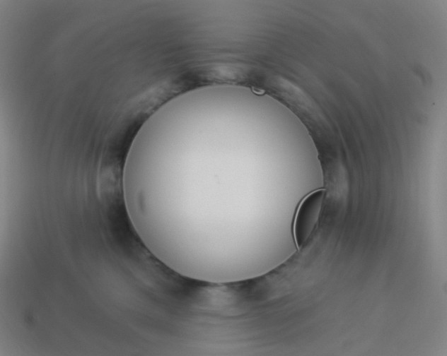 X0000114070425200910191526