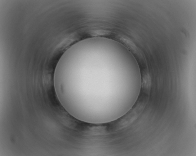 X0000114070426200910191526