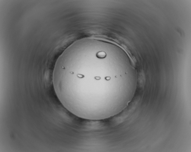 X0000114070428200910191526