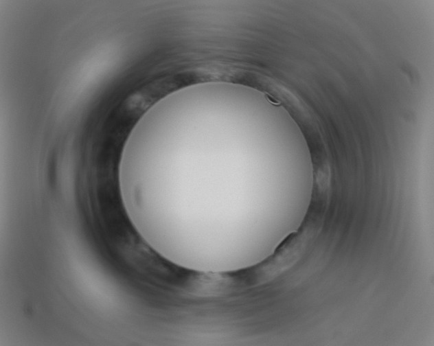 X0000114070429200910191526