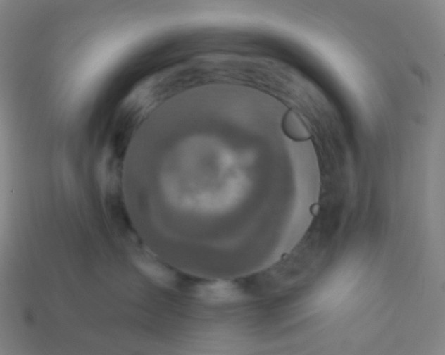 X0000114070431200910191525