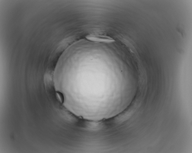 X0000114070432200910191525