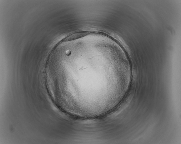 X0000114070433200910191525