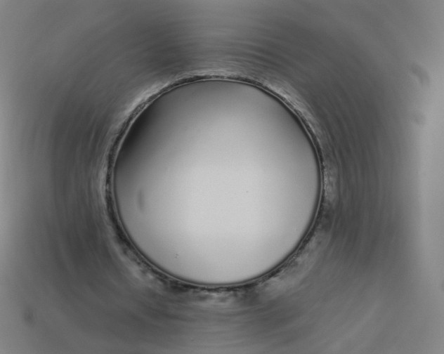 X0000114070434200910191525