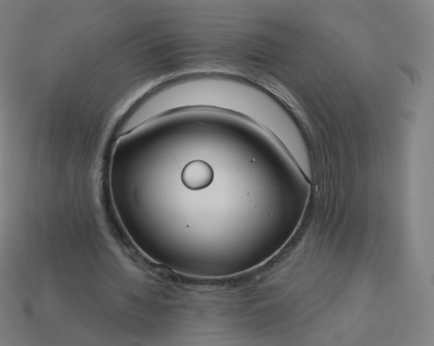 X0000114070436200910191525