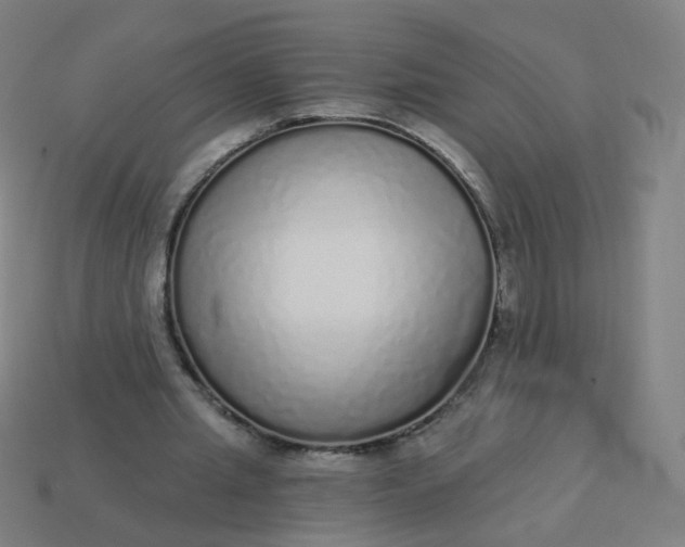 X0000114070437200910191525